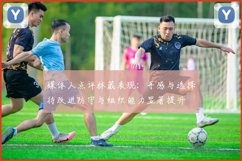 媒体人点评林葳表现：手感与选择待改进防守与组织能力显著提升