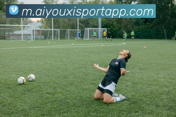 爱游戏体育品牌故事