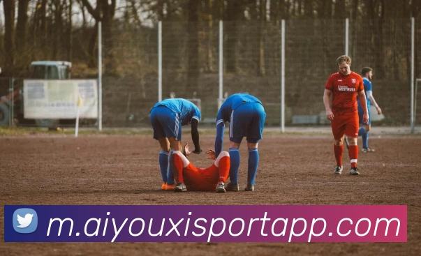 多媒体互动体验